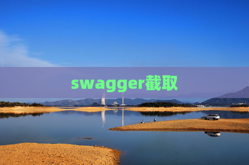 swagger截取